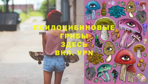 гашик Абаза